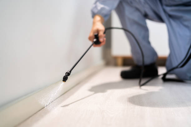 Licensed Pest Control service in Kannapolis, NC - Show Me Pest Control